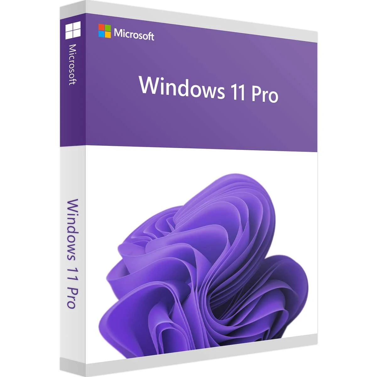 Microsoft Windows 11 Pro (64 Bit)